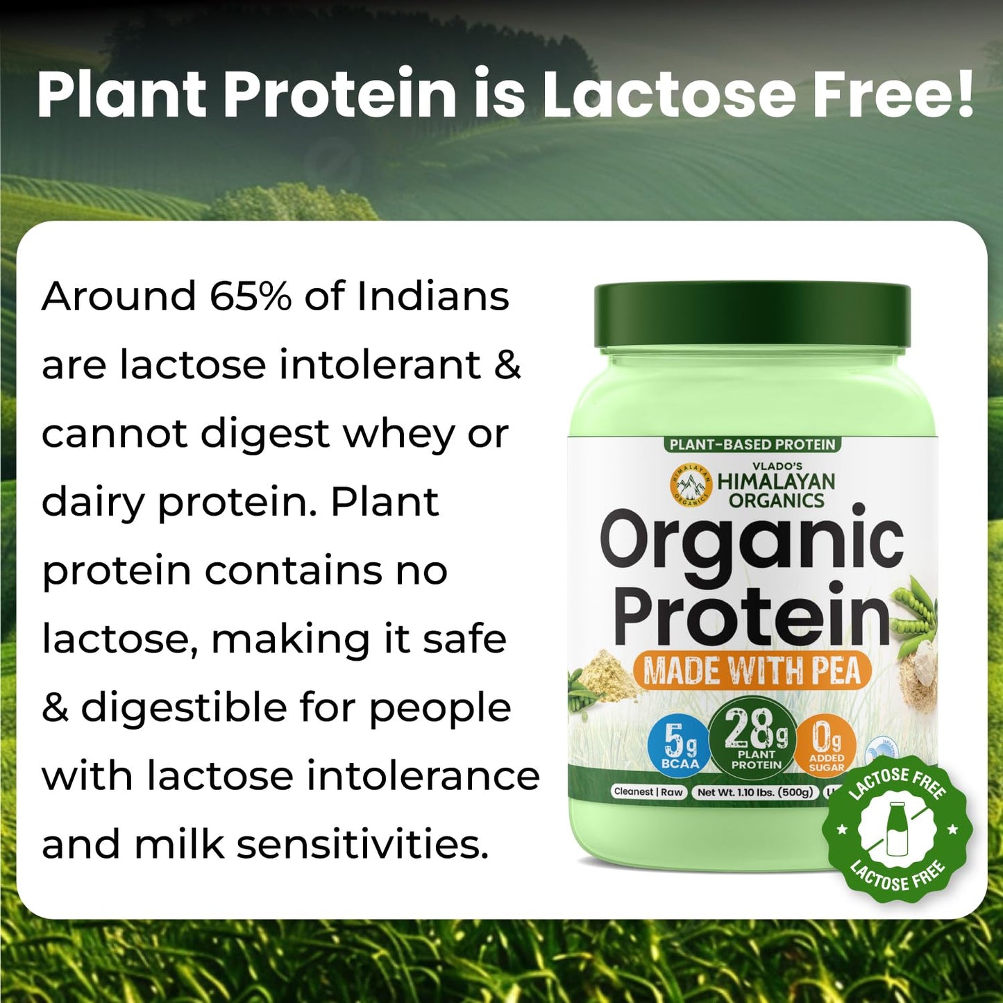 Vlado Himalayan Organics Plant-Based Protein Powder | 100% Organic Pea Protein | 28g Protein, 5g BCAA per Serving | Clean, Vegan, Fast-Absorbing | No Bloating, Easy to Digest | Unflavoured – 500g