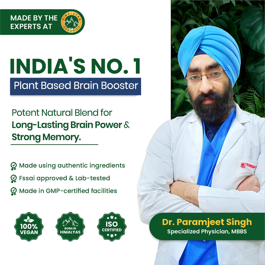 Vlado's Himalayan Organics Plant-Based Brain Support Supplement with Ginkgo Biloba & Brahmi – 60 Veg Capsules