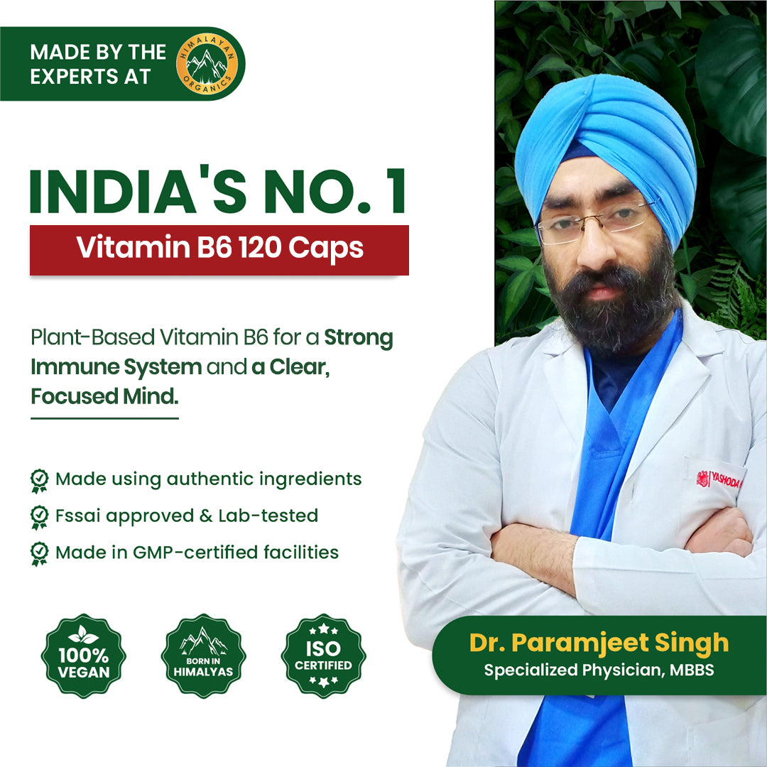 Vlado's Himalayan Organics Plant-Based Vitamin B6 120 Capsules