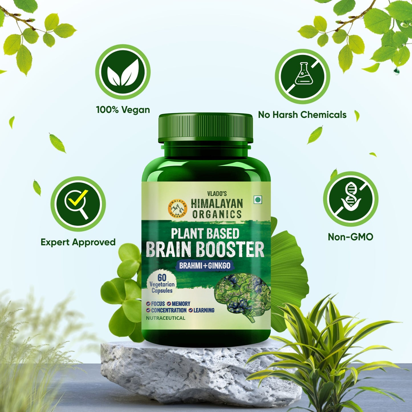 Vlado's Himalayan Organics Plant Based Brain Booster Supplement with Ginkgo Biloba & Brahmi | Boost concentration & Memory | 60 Veg Capsules