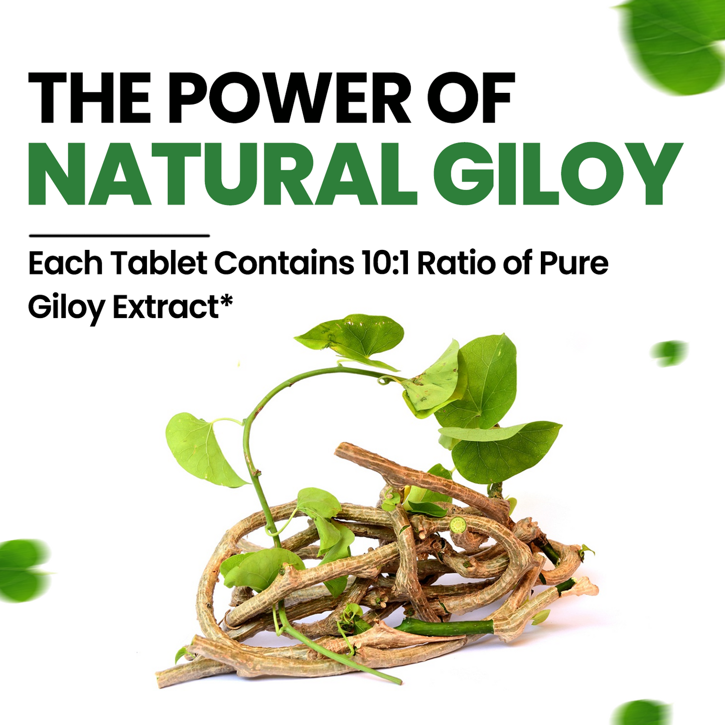 Vlado's Himalayan Organics Giloy Extract | Immunity Booster | Helps in Blood Purification | 120 Veg Tablets