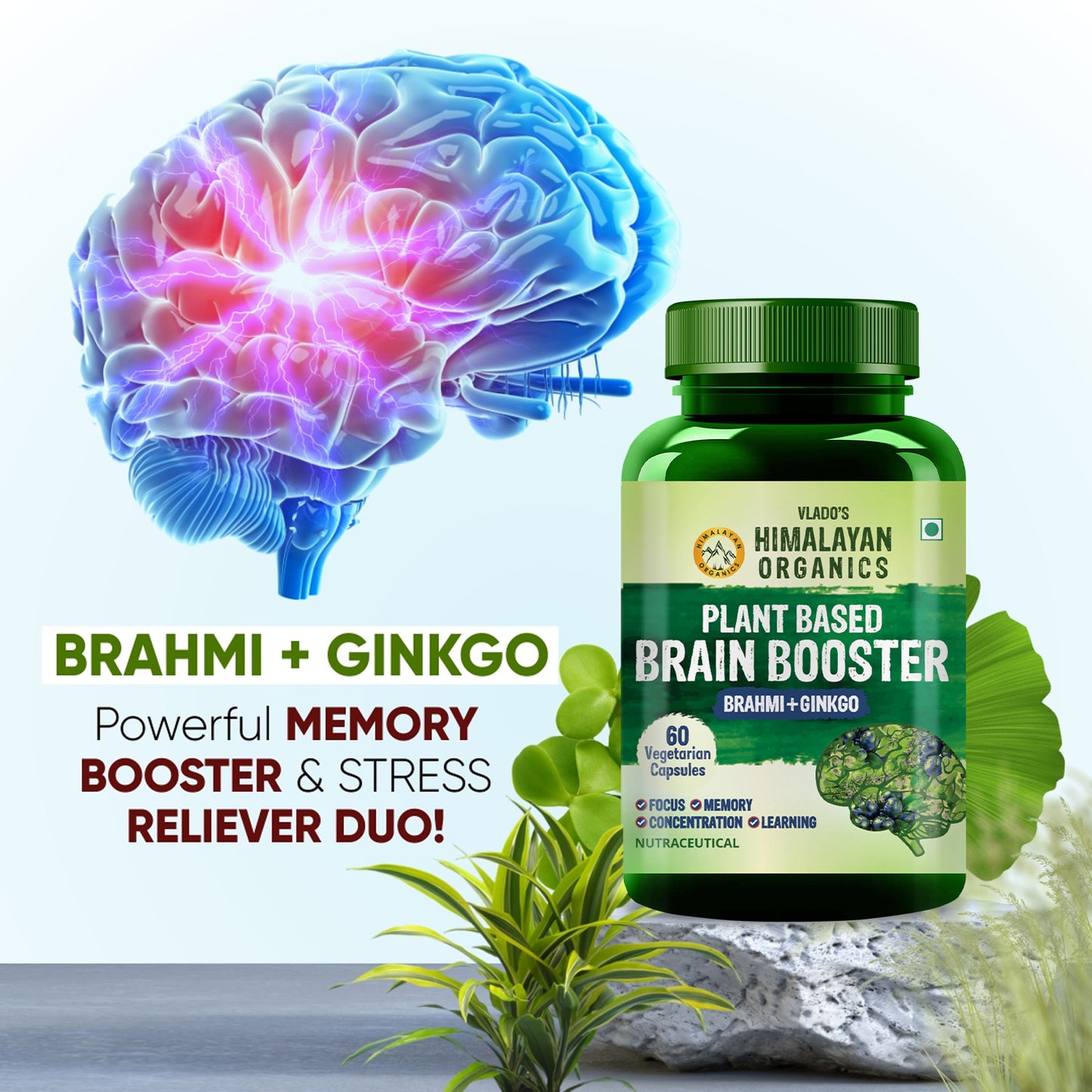 Vlado's Himalayan Organics Plant Based Brain Booster Supplement with Ginkgo Biloba & Brahmi | Boost concentration & Memory | 60 Veg Capsules