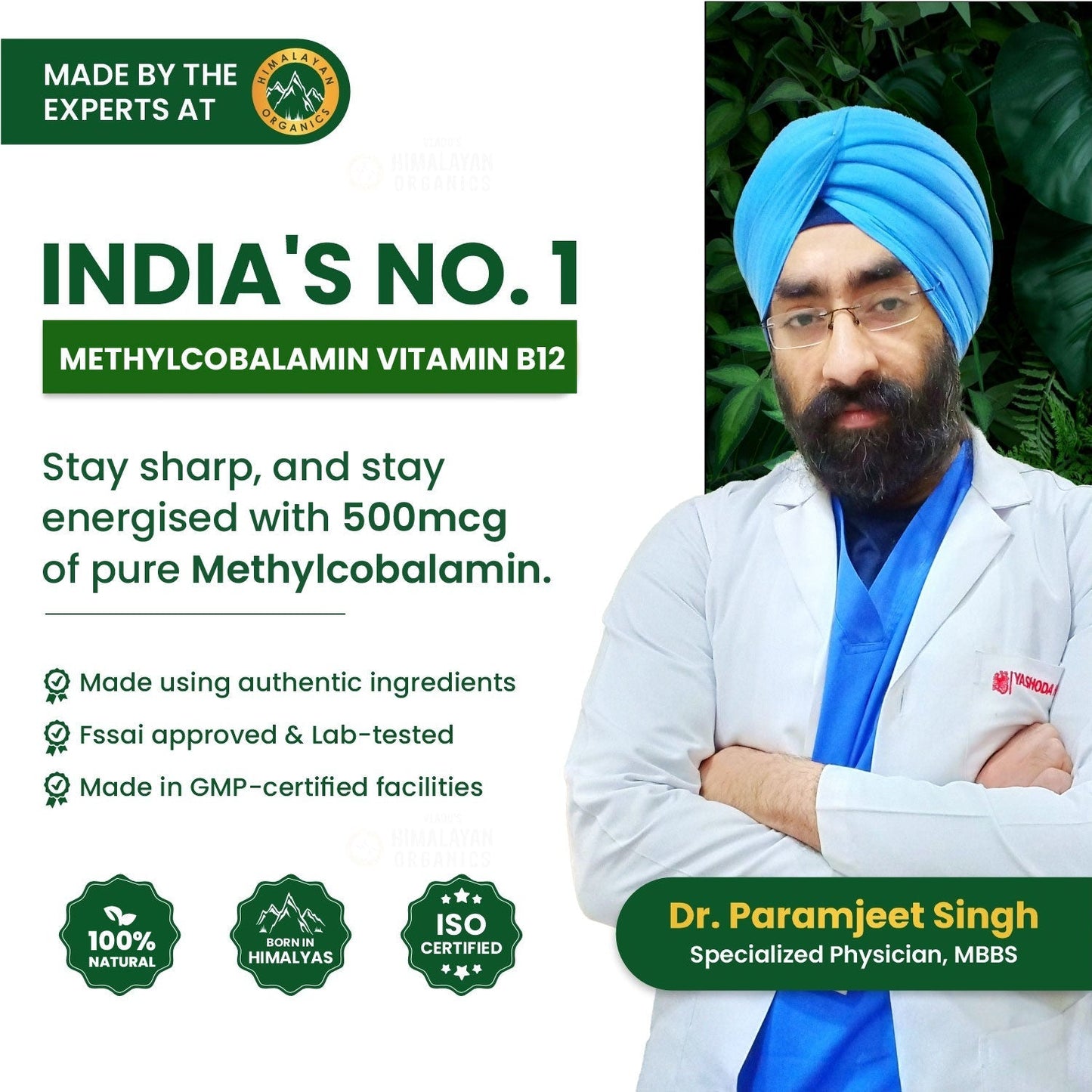 Vlado's Himalayan Organics Vitamin B12 Supplement 500 mcg | Methylcobalamin | Plant-Based | 60 Veg Tablets