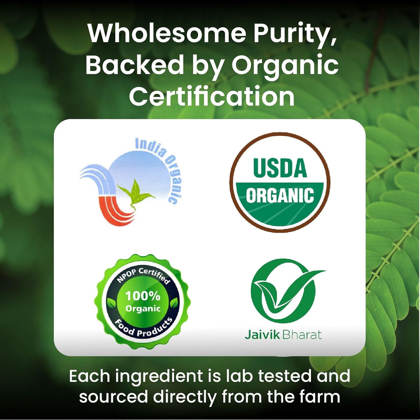 Vlado’s Himalayan Organics Moringa Powder | 100% Organic & Pure Superfood | 200g