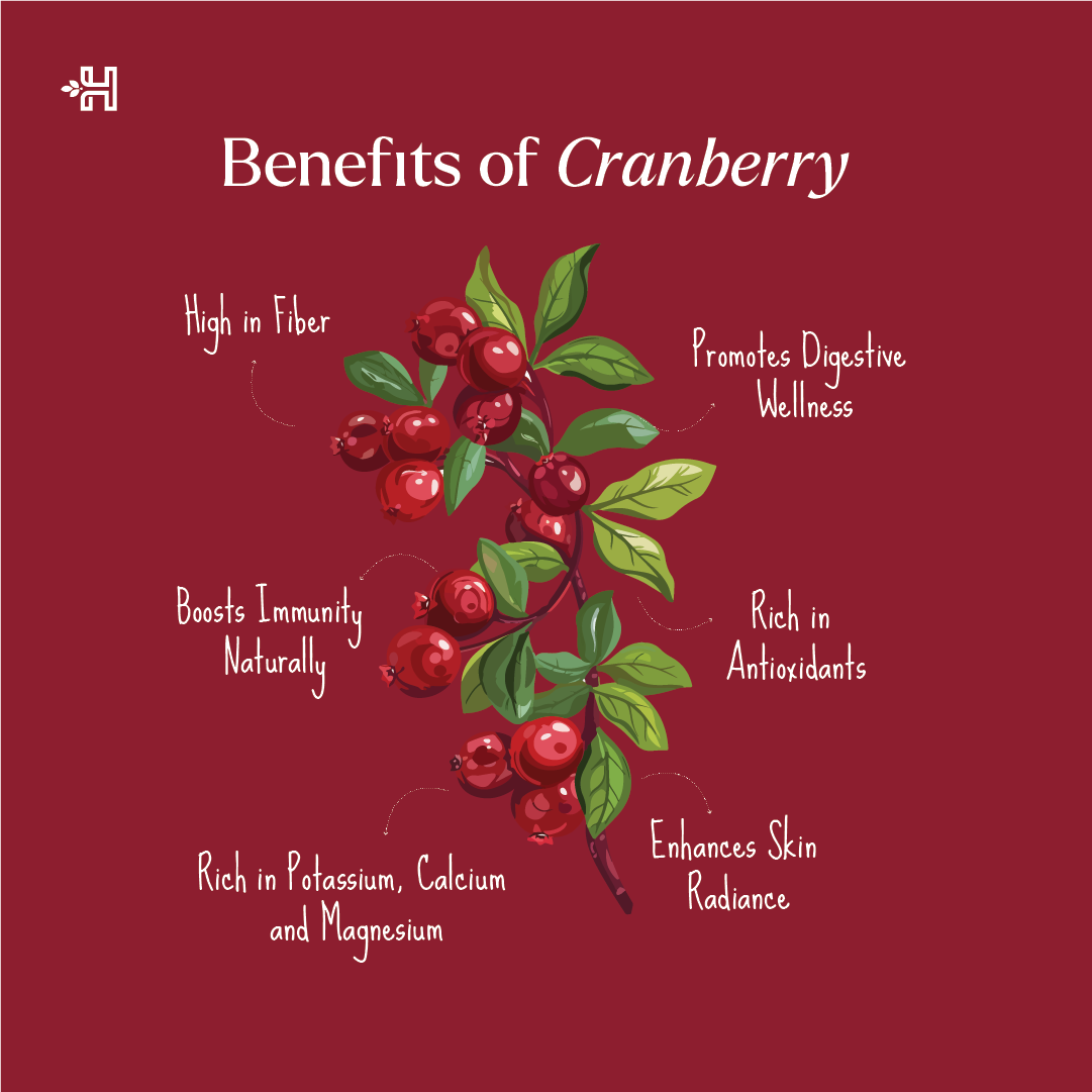 Health Horizons Dried Cranberry 200g