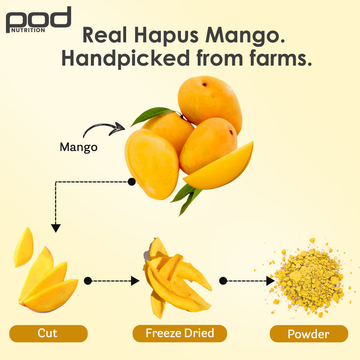 POD NUTRITION Pea Protein Isolate Powder | Vegan Plant Protein, No Added Sugar, Dairy Free| Clean & Easy to Digest with Essential Amino Acids (Hapus Mango Sachet Pack of 15)