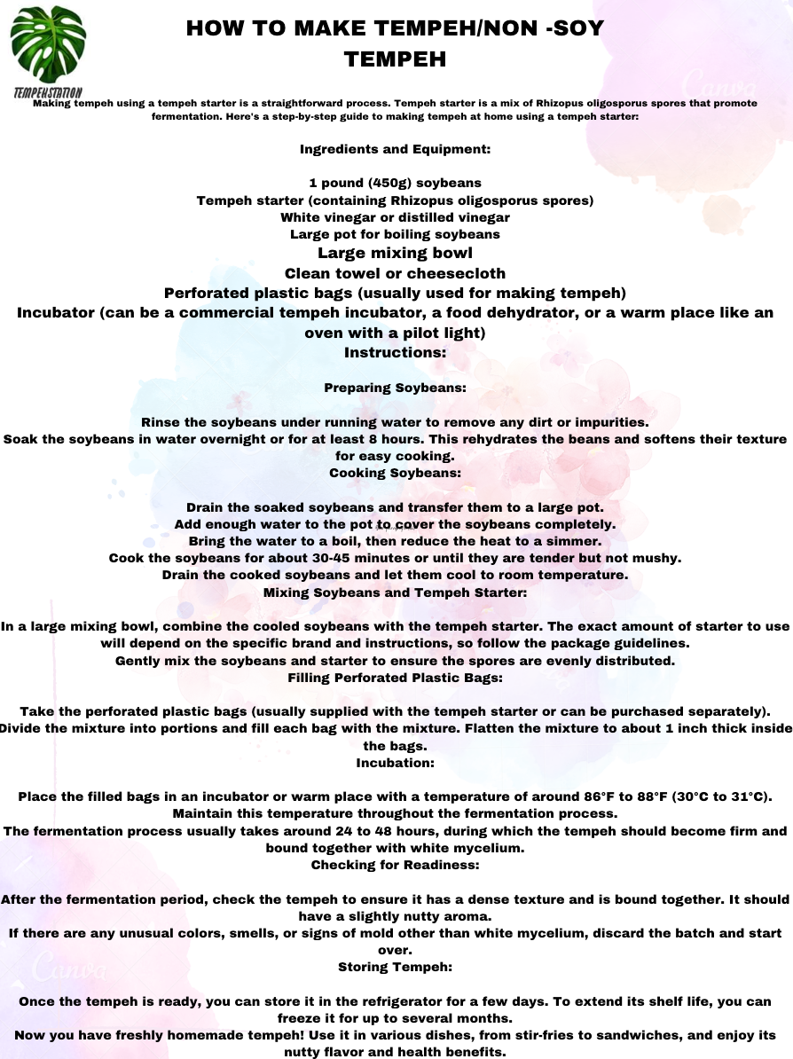 TempehChennai Tempe Starter Culture (Soy Free) (10gm) (Makes 5 Kilograms of Non-Soy Tempeh)