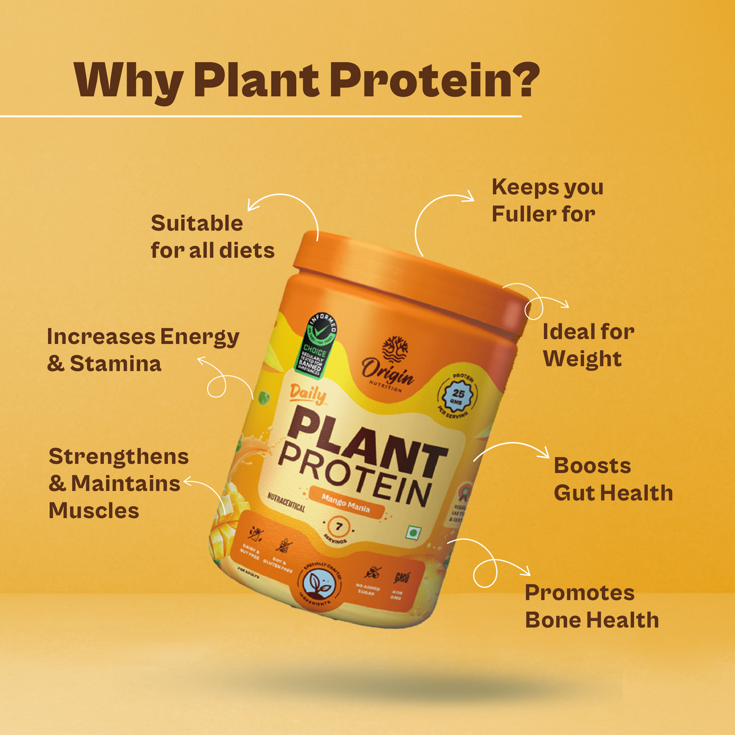 Origin Nutrition Daily Plant Protein Mango Flavour , 288g