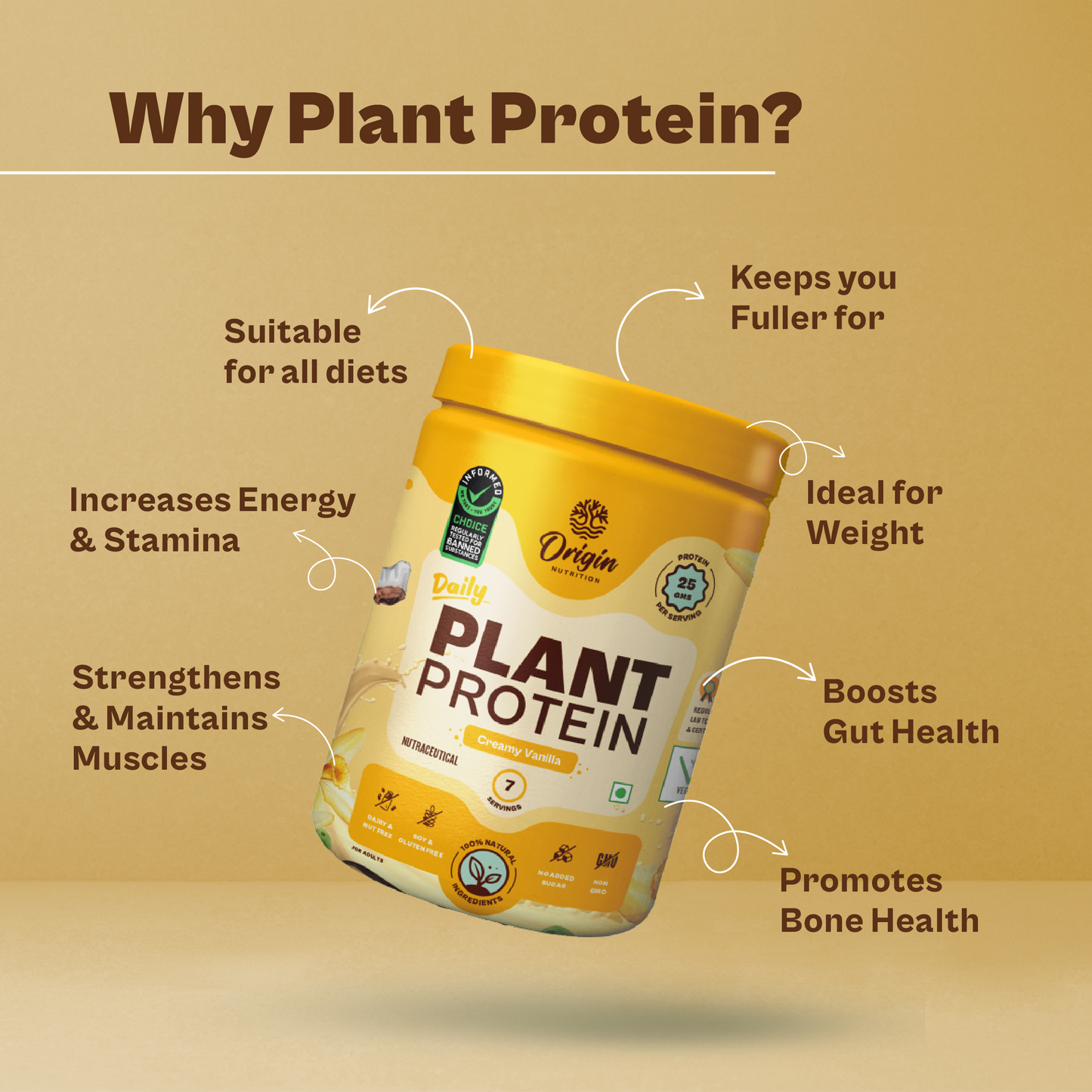 Origin Nutrition Daily Plant Protein Vanilla Flavour , 278g