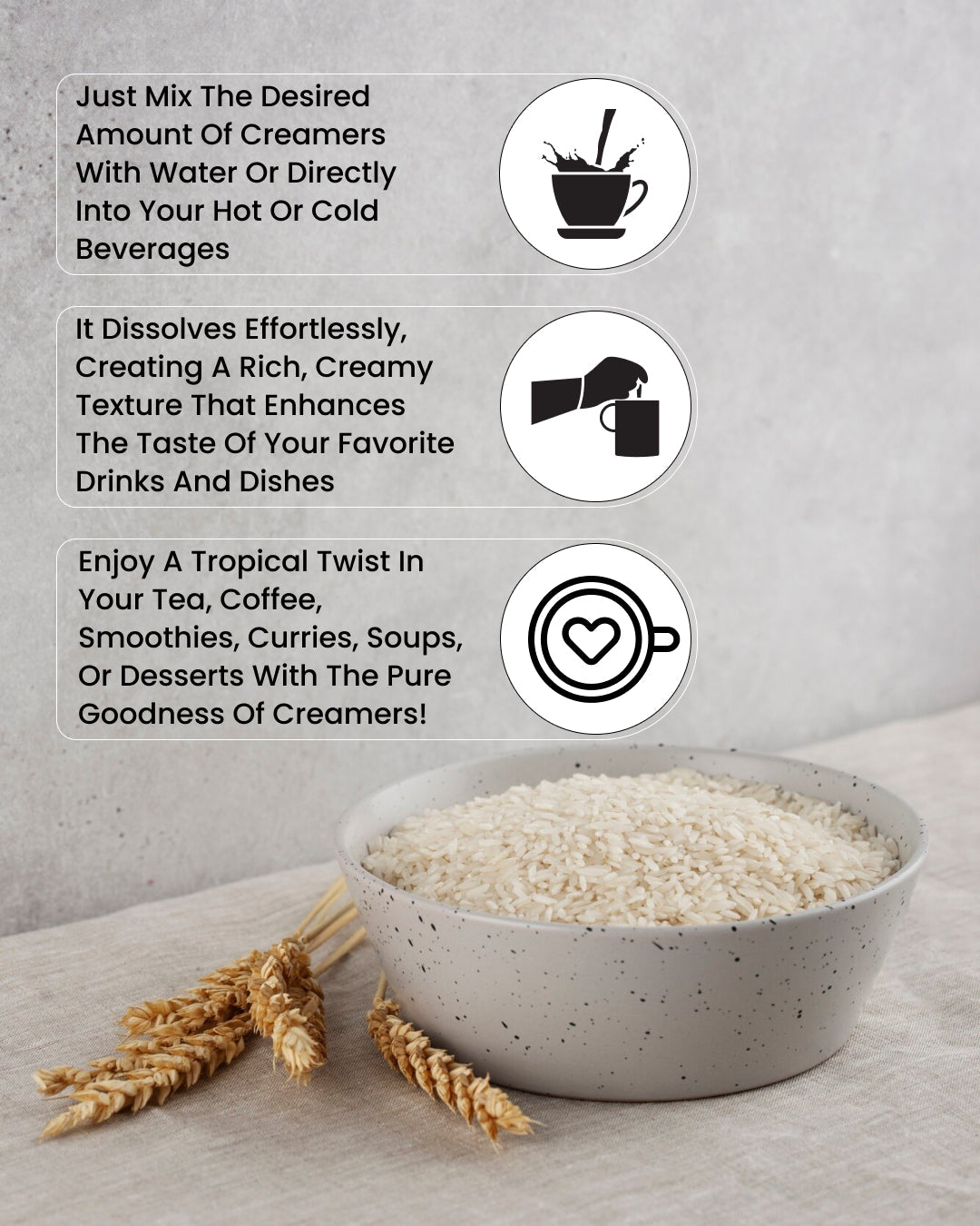 Creamer Trial Pack | Coconut Milk Powder + Oats Creamer + Rice Creamer (100g Each)