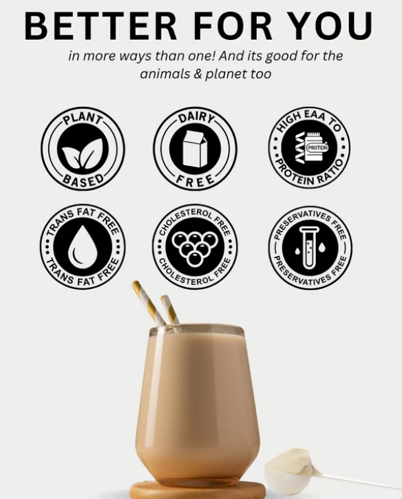Peanut Protein Isolate