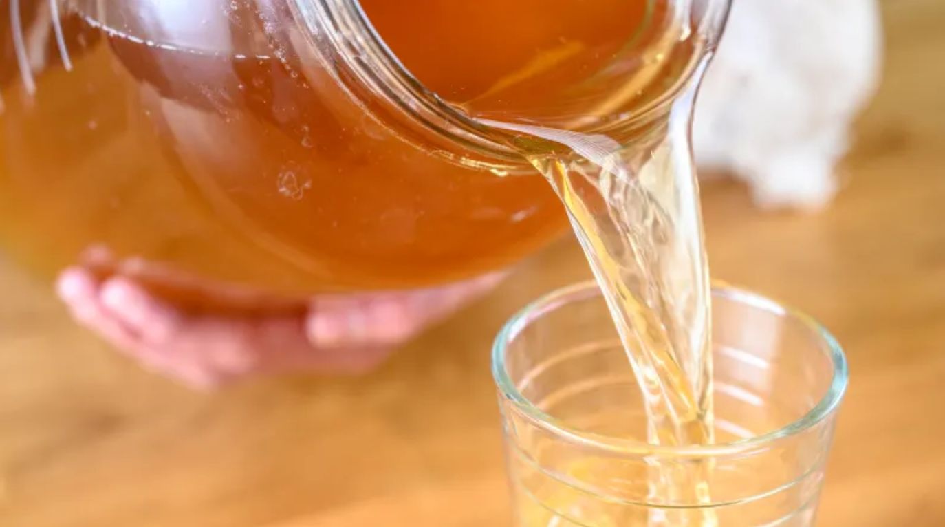 Tempeh Chennai Kombucha Starter Kit (Grand kit)- Make your own Kombucha at Home