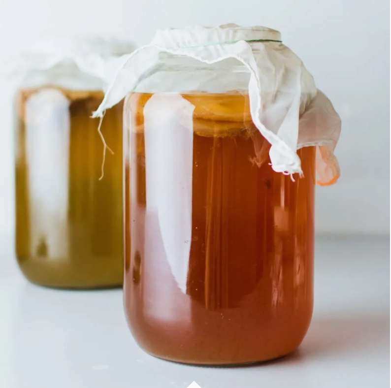 Tempeh Chennai Kombucha Starter Kit (Grand kit)- Make your own Kombucha at Home