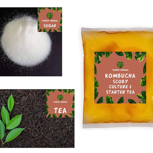 Tempeh Chennai Kombucha Brewing Starter Kit (Basic)- Make your own kombucha at Home