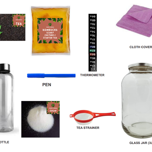 Tempeh Chennai Kombucha Starter Kit (Deluxe Kit)-Make your own kombucha at Home