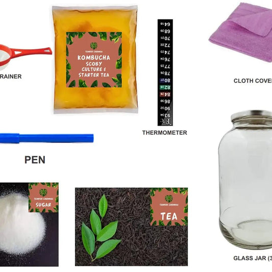 Tempeh Chennai Kombucha Starter Kit (Grand kit)- Make your own Kombucha at Home