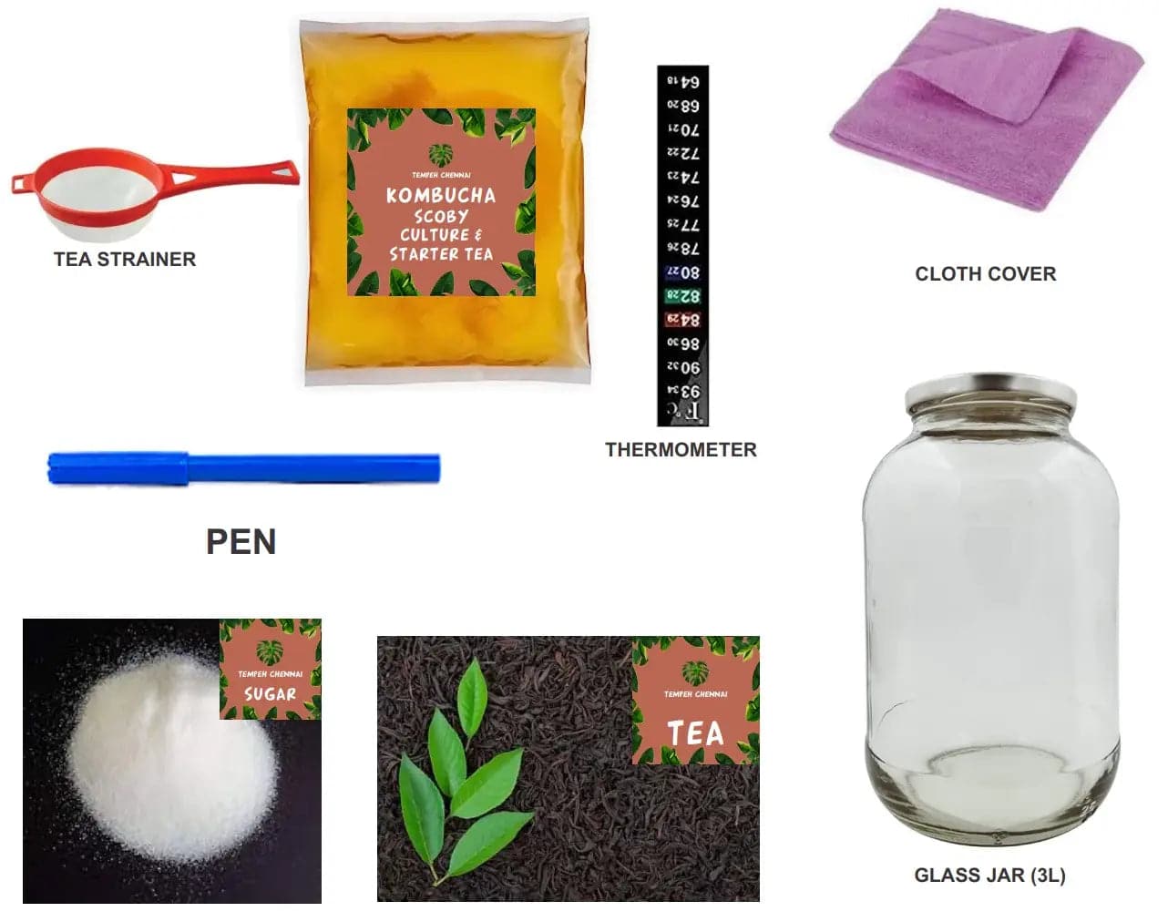 Tempeh Chennai Kombucha Starter Kit (Grand kit)- Make your own Kombucha at Home