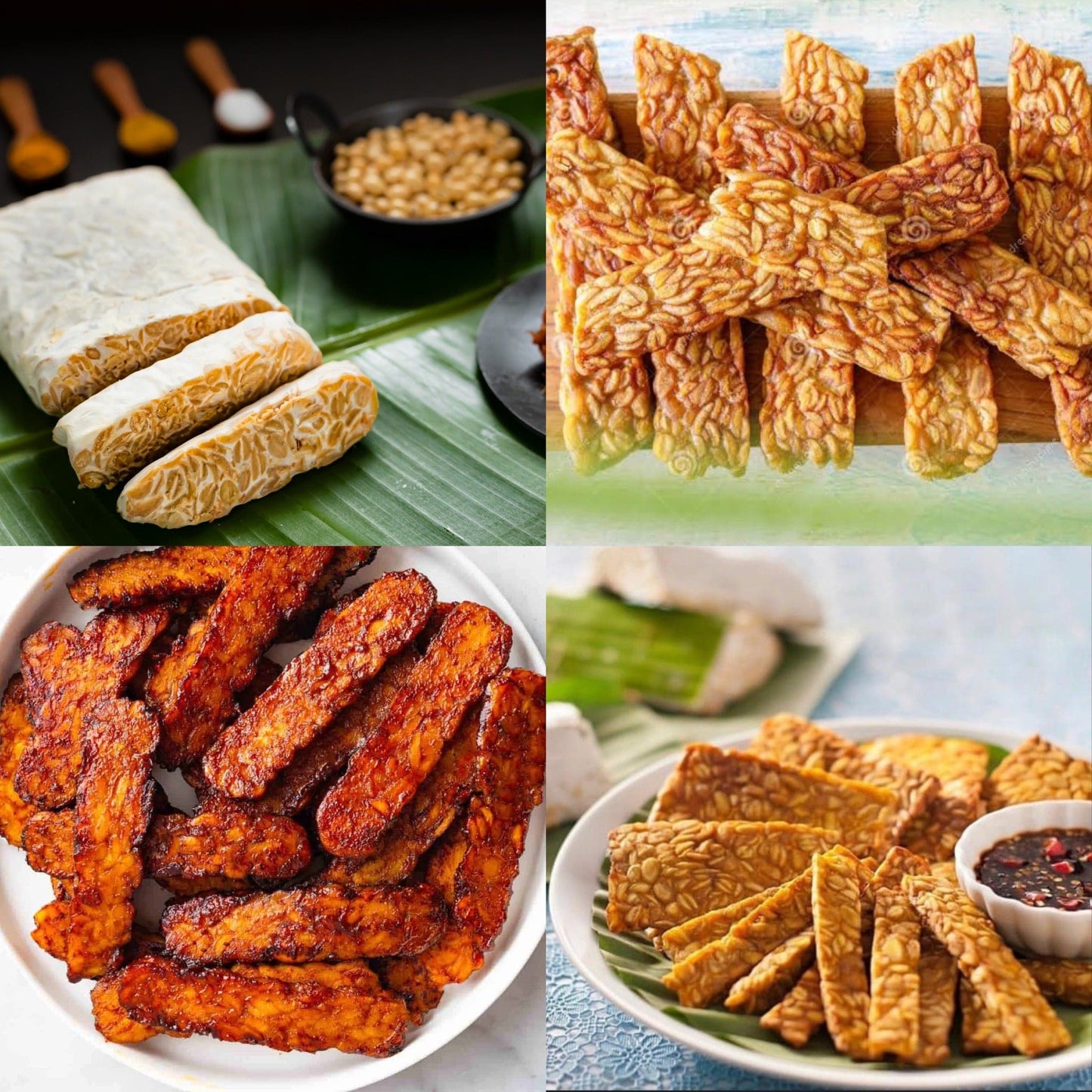 Tempeh Chennai Tempeh Original (Soybean) FRESH , 200g