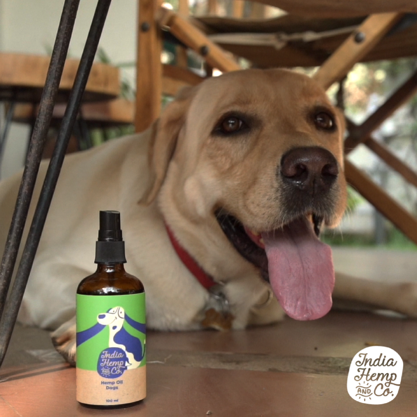 India Hemp and Co - Hemp Seed Pet Oil - Dog - plant based Dukan