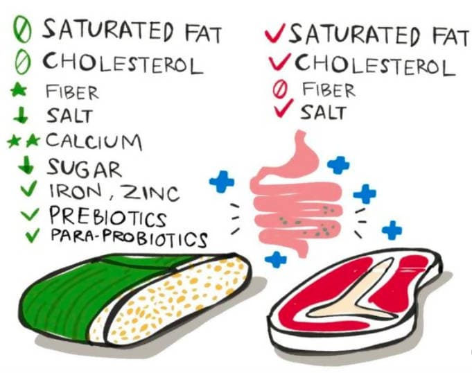 Posh Flavors Tempeh Starter Culture | Make Indonesian Tempeh at Home | Easy-to-Use Instructions Included | Makes 5 Kilograms of Soy/ Non-Soy Tempeh - plant based Dukan
