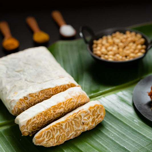 Tempeh Chennai Soybean Tempeh Original Fresh 200g Online India