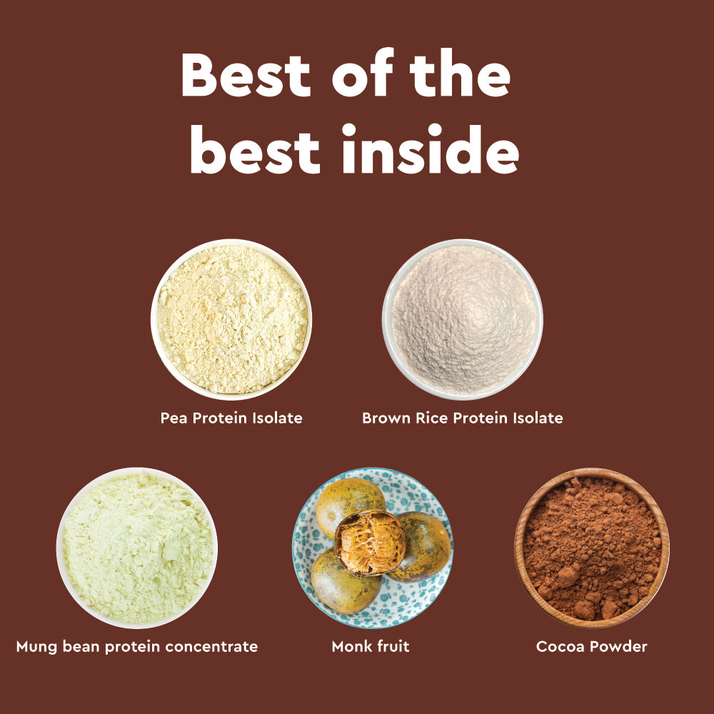 Nourish You 27g Per Serving Chocolate Plant based Protein Powder-500g | Pea, Brown Rice & Mung Bean Blend | Sweetened with Monk Fruit | Rich Cocoa Flavor | No Soy, No Artificial Flavours | Supports Muscle recovery |