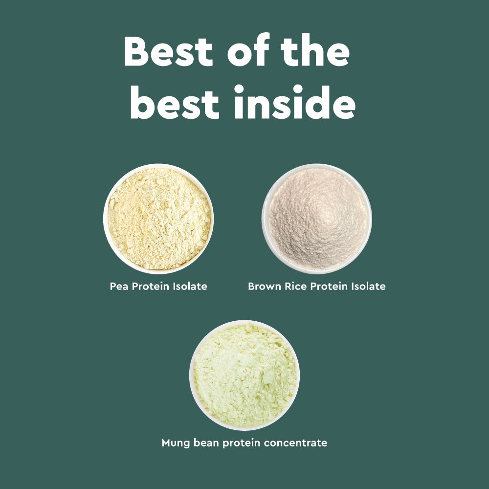 Nourish You Unflavoured Plant Protein Powder 500g | 30g Protein Per Serving | Pea, Brown Rice & Mung Bean Blend | Soy-Free, Dairy-Free, Gluten-Free | No Artificial Flavours or Sweeteners | Supports Muscle Growth