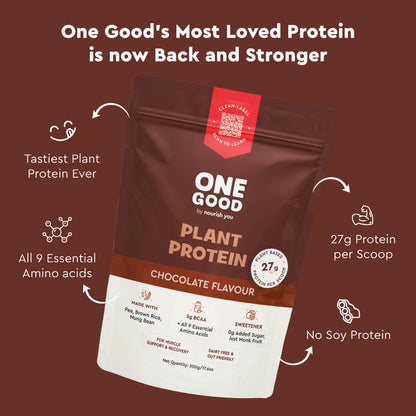 Nourish You 27g Per Serving Chocolate Plant based Protein Powder-500g | Pea, Brown Rice & Mung Bean Blend | Sweetened with Monk Fruit | Rich Cocoa Flavor | No Soy, No Artificial Flavours | Supports Muscle recovery |