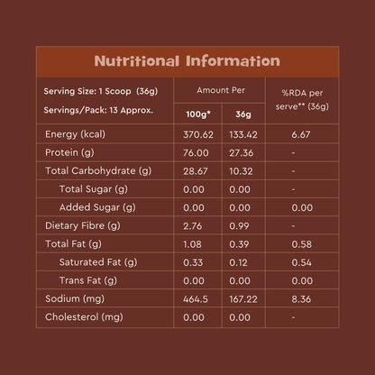 Nourish You 27g Per Serving Chocolate Plant based Protein Powder-500g | Pea, Brown Rice & Mung Bean Blend | Sweetened with Monk Fruit | Rich Cocoa Flavor | No Soy, No Artificial Flavours | Supports Muscle recovery |