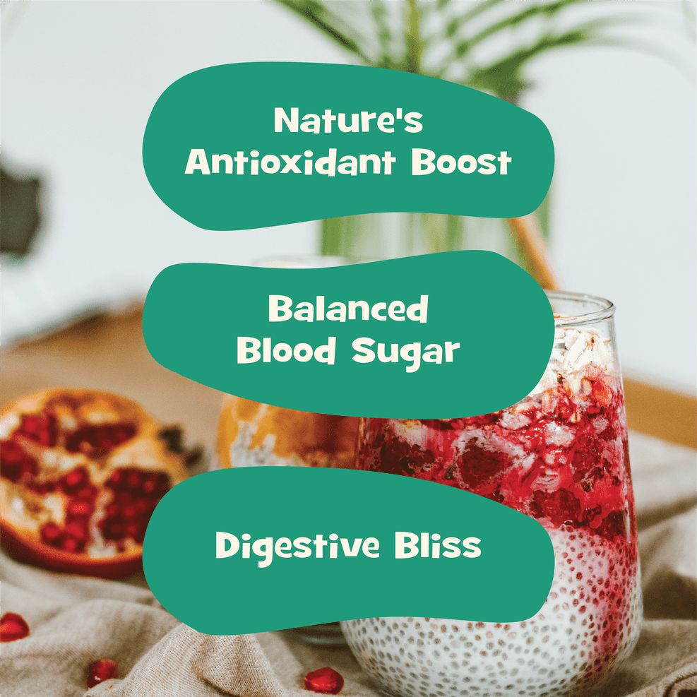 Nourish You Raw & Whole Chia Seeds 1kg Jar | Dirt & Stone free | Gluten Free | Source of Calcium, Protein , Dietary Fibre & Antioxidant | Rich with Omega 3 & Zinc | Premium superfoods | Supports Weight Management | Value Pack offer