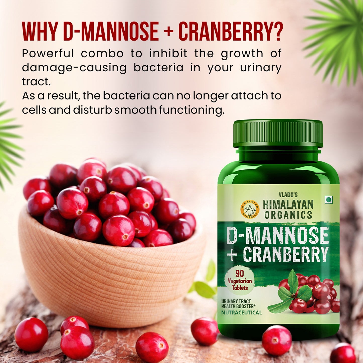 Vlado's Himalayan Organics D-MANNOSE + CRANBERRY Antioxidant Rich Supplement - 90 Tablets