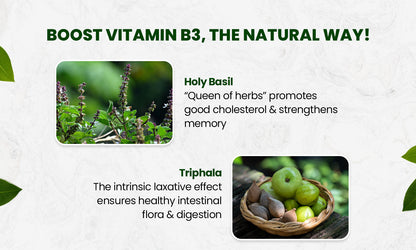 Vlado's Himalayan Organics Plant-Based Vitamin B3 | Supports Healthy Skin and Heart 120 Capsules