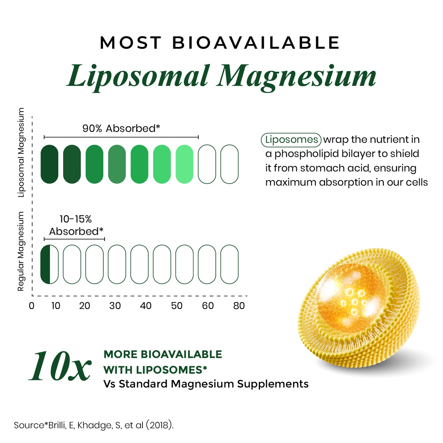 Vlado's Himalayan Organics Liposomal Magnesium Supplement 28000mg | 10 Magnesium Complex with Magnesium Citrate, Glycinate, Threonate, Oxide & More | With Vitamin D3 & B12 | High Bioavailability Formula | 60 Veg Tablets