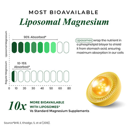 Vlado's Himalayan Organics Liposomal Magnesium Supplement 28000mg | 10 Magnesium Complex with Magnesium Citrate, Glycinate, Threonate, Oxide & More | With Vitamin D3 & B12 | High Bioavailability Formula | 60 Veg Tablets