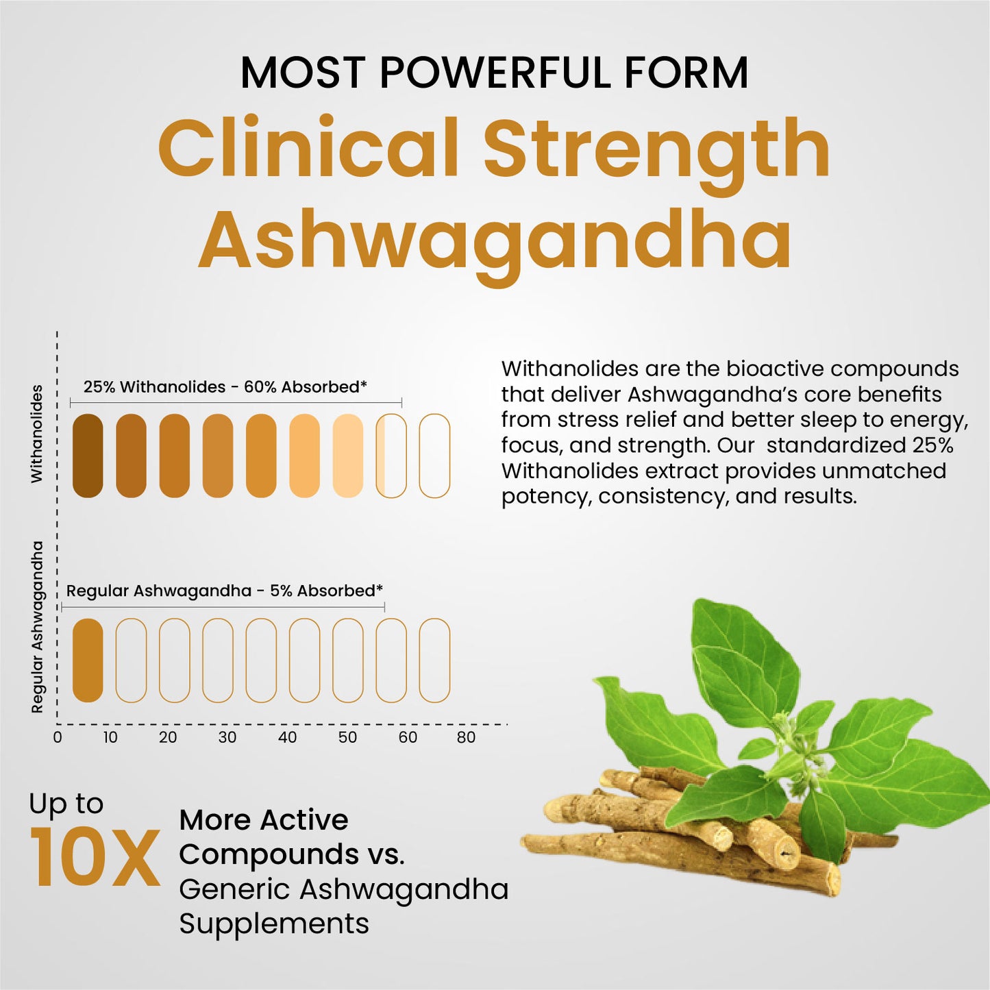 Vlado’s Himalayan Organics Ashwagandha 25% Withanolides – High-Potency 600 mg Extract – Lab-Tested | 30 Capsules