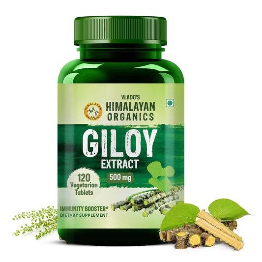 Vlado's Himalayan Organics Giloy Extract | 120 Veg Tablets