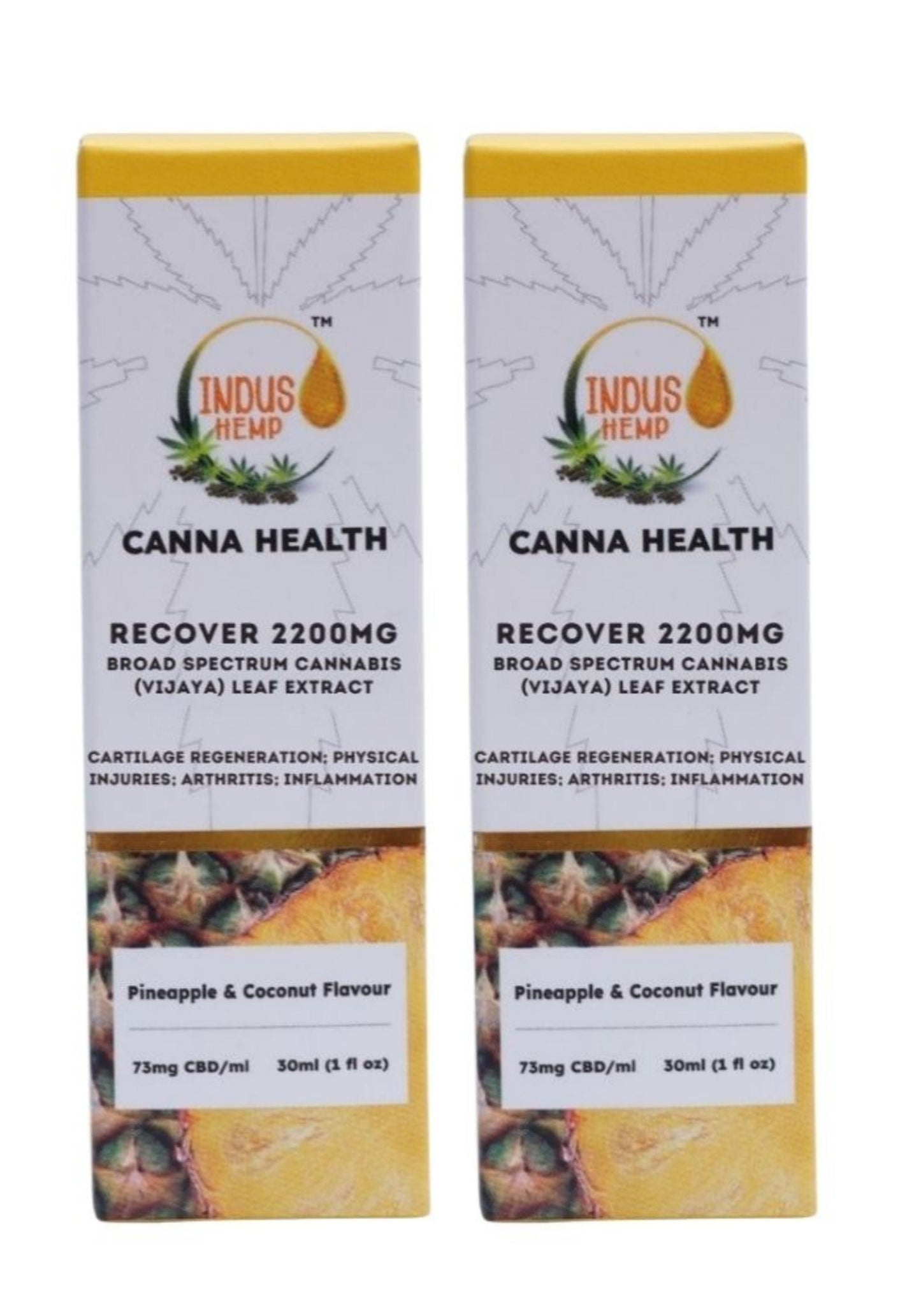 INDUS HEMP CANNA HEALTH CBD RECOVER 2200mg | Combo Pack of 2 | Broad Spectrum Cannabis (Vijaya) Leaf Extract