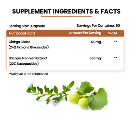 Vlado's Himalayan Organics Ginkgo Biloba 24% Flavone Glycoside 60 Veg Capsules