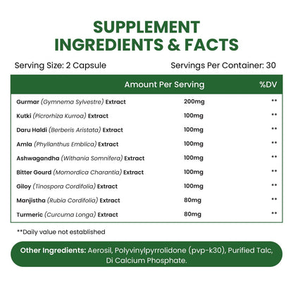 Vlado's Himalayan Organics Diabetes Support Supplement | Blend of 11 Herbal Ingredients | 100% Vegetarian | 60 Capsules