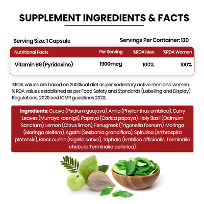 Vlado's Himalayan Organics Plant-Based Vitamin B6 120 Capsules