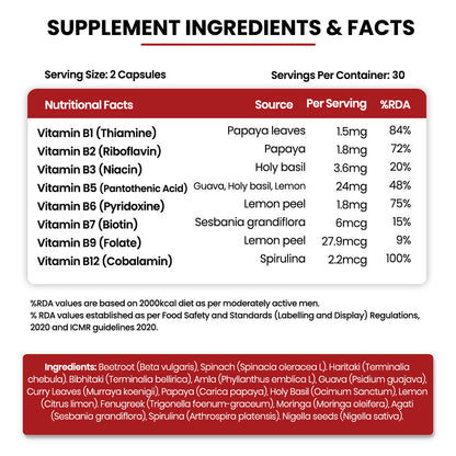 Vlado's Himalayan Organics Natural Vitamin B12 with B-Complex & Moringa | Plant-Based Formula | 60 Vegetarian Capsules