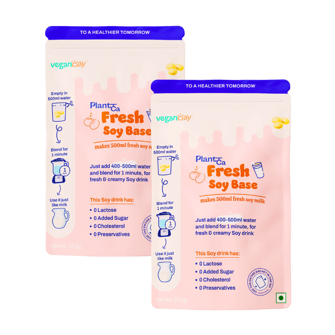 Veganday PlantCa Fresh Soy Drink | Plant Based Milk Substitute | Lactose Free & Cholesterol Free | Zero Sugar & No Preservatives (500mL(Pack of 2))