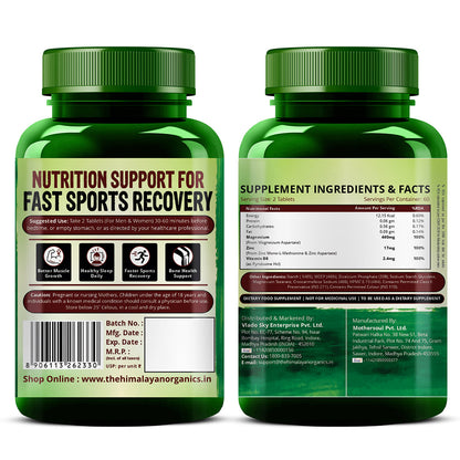 Vlado's Himalayan Organics ZMA Supplement with Zinc, Magnesium Aspartate & Vitamin B6 | Plant-Based Formula | 120 Veg Tablets