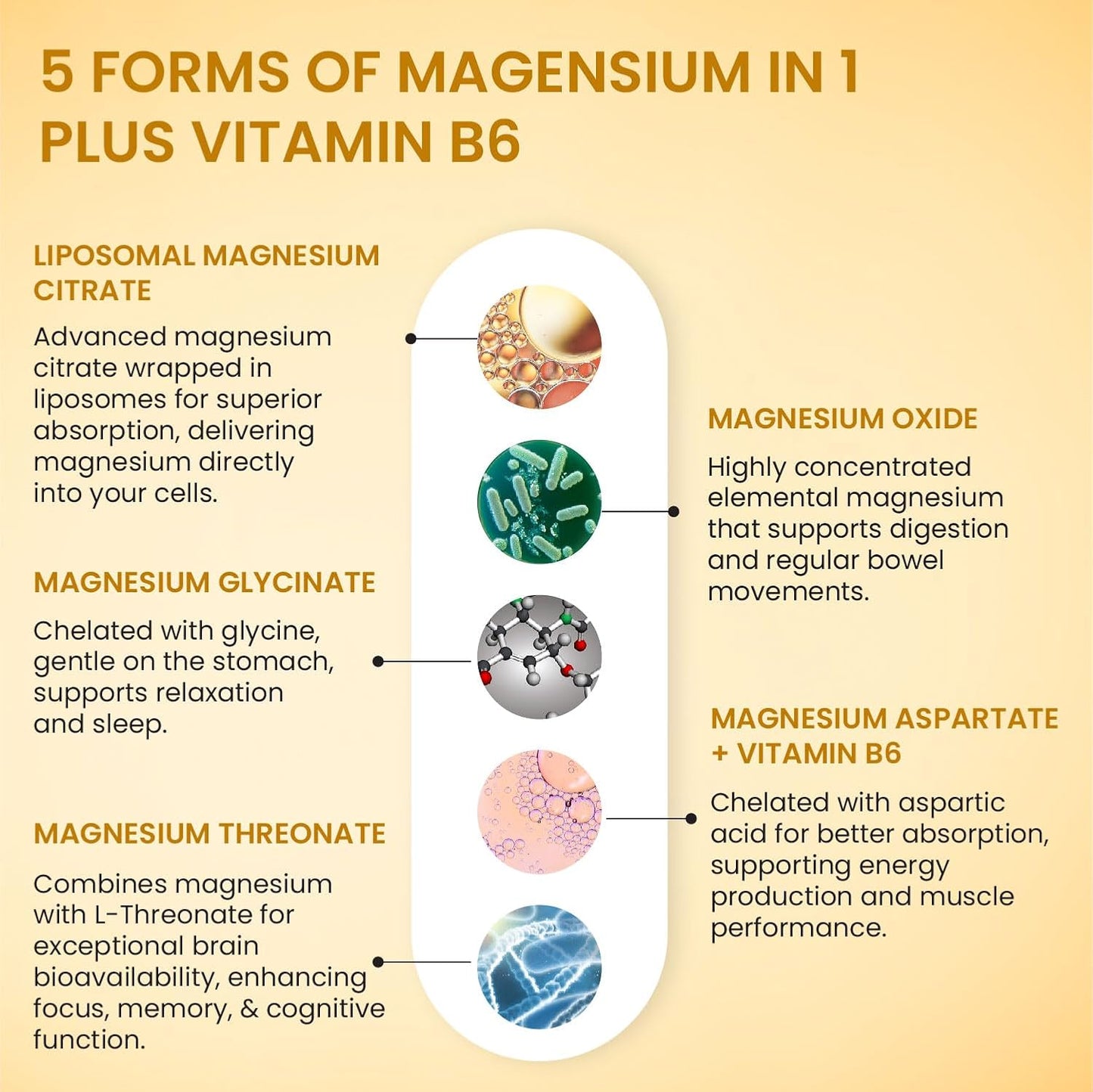 Vlado’s Himalayan Organics 5X Strength Liposomal Magnesium 2100mg+ with Magnesium Glycinate, Citrate, Oxide, Threonate & Aspartate | Triple Magnesium Complex | 120 Veg Tablets