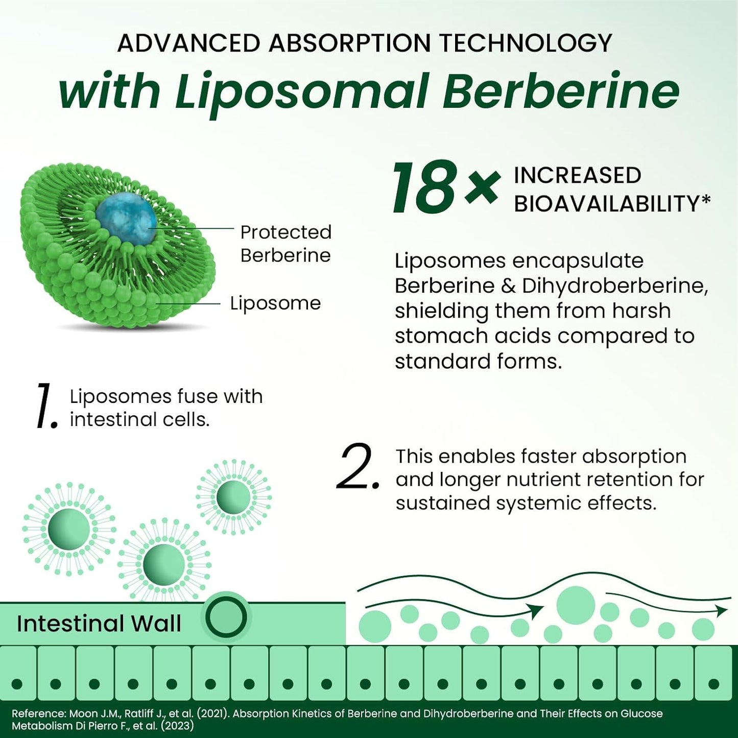 Vlado’s Himalayan Organics Liposomal Berberine HCL+ 1500 mg | With Piperine, Chromium, Bitter Melon, Bael & Gudmar | Advanced Herbal Blend | 60 Veg Tablets