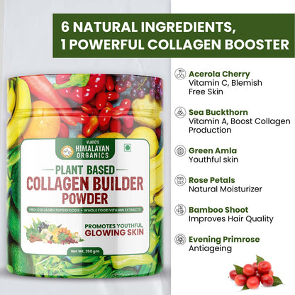 Vlado's Himalayan Organics Plant Based Collagen Builder Powder – 250gm