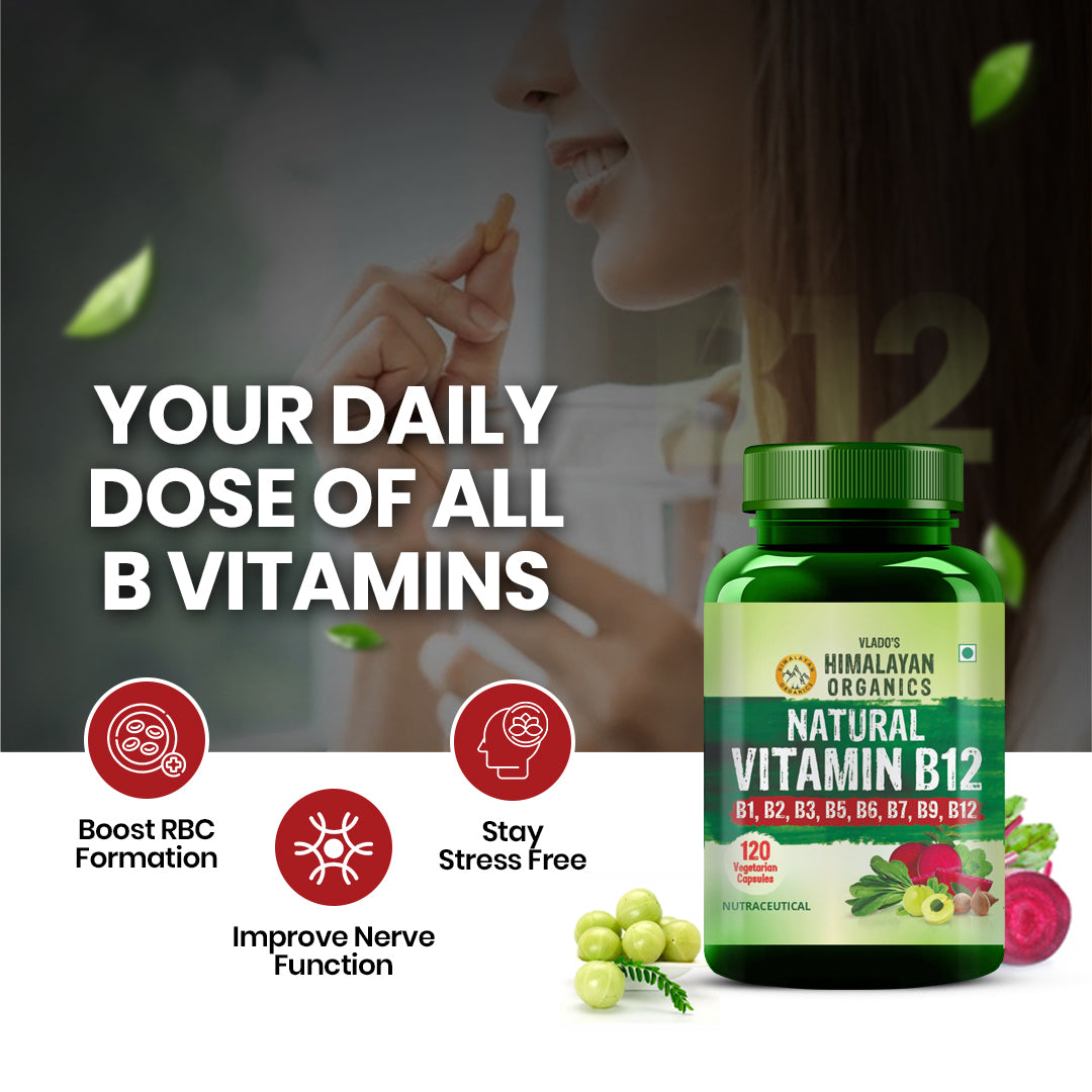 Vlado's Himalayan Organics Natural Vitamin B12 with B1, B2, B3, B5, B6, B7, B9 & Moringa | Plant-Based Formula | 120 Vegetarian Capsules