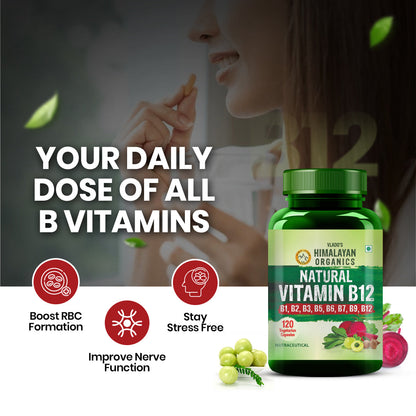 Vlado's Himalayan Organics Natural Vitamin B12 with B1, B2, B3, B5, B6, B7, B9 & Moringa | Plant-Based Formula | 120 Vegetarian Capsules