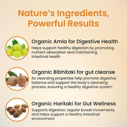 Vlado’s Himalayan Organics Triphala Tablets | Organic Amla, Haritaki & Bibhitaki | Pure Ayurvedic Blend | 60 Tablets