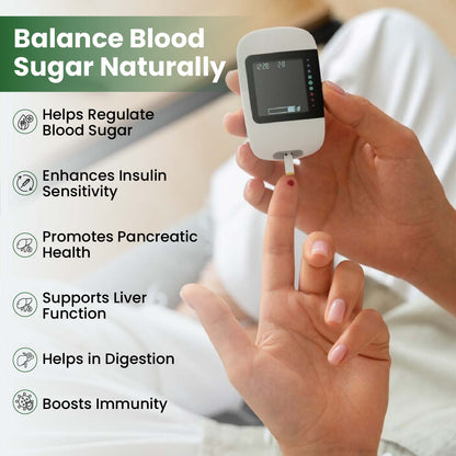 Vlado's Himalayan Organics Diabetes Support Supplement | Blend of 11 Herbal Ingredients | 100% Vegetarian | 60 Capsules